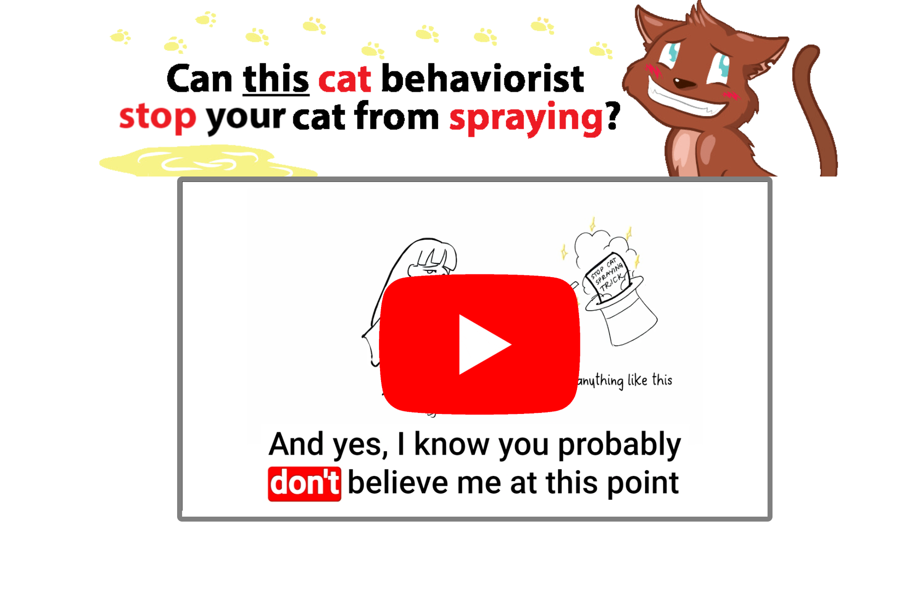 Cat Spray Stop