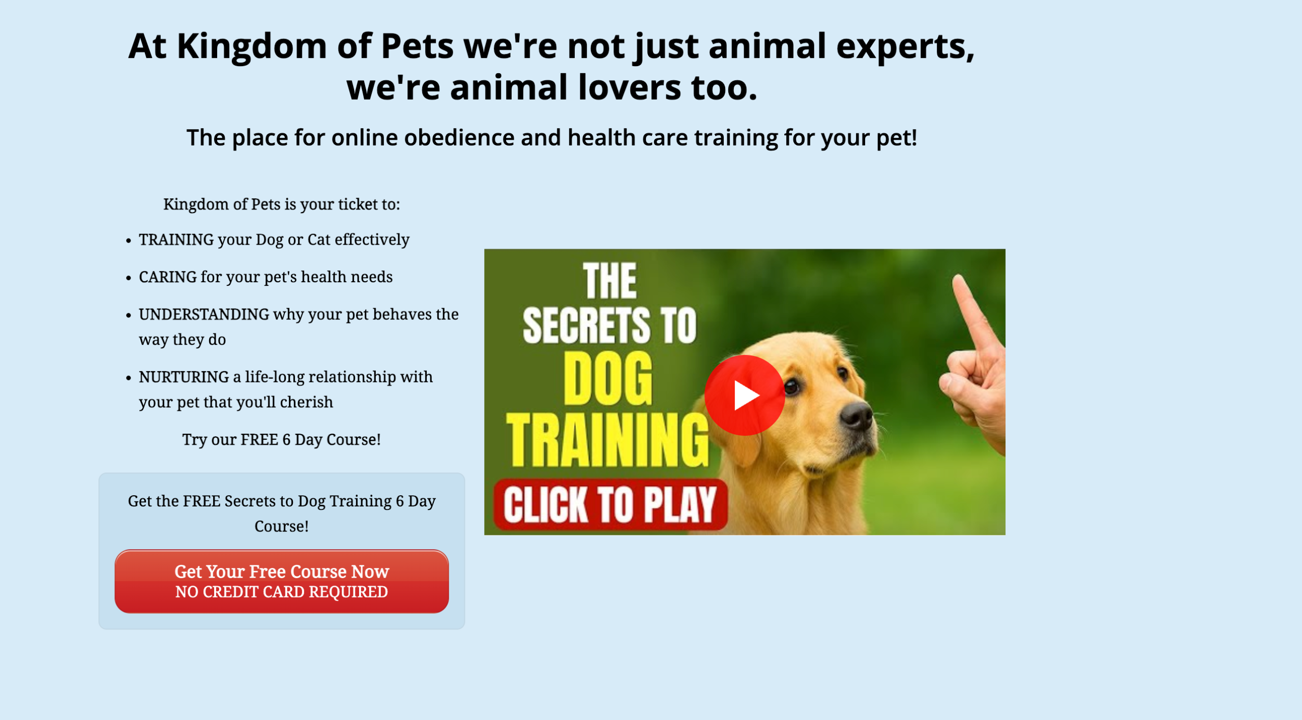 Secrets to Dog Training: Stop Your Dog's Behavior Problems